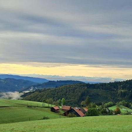 Ferienwohnung auf dem Bückle Kleines Wiesental Exterior foto